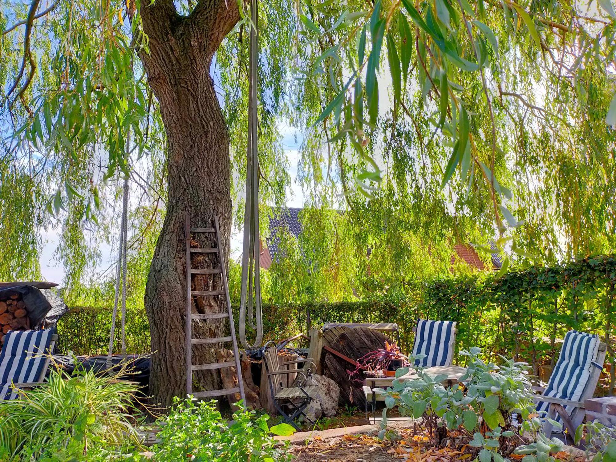 Aan De Molenberg Broekhuizen (Limburg) Exterior foto